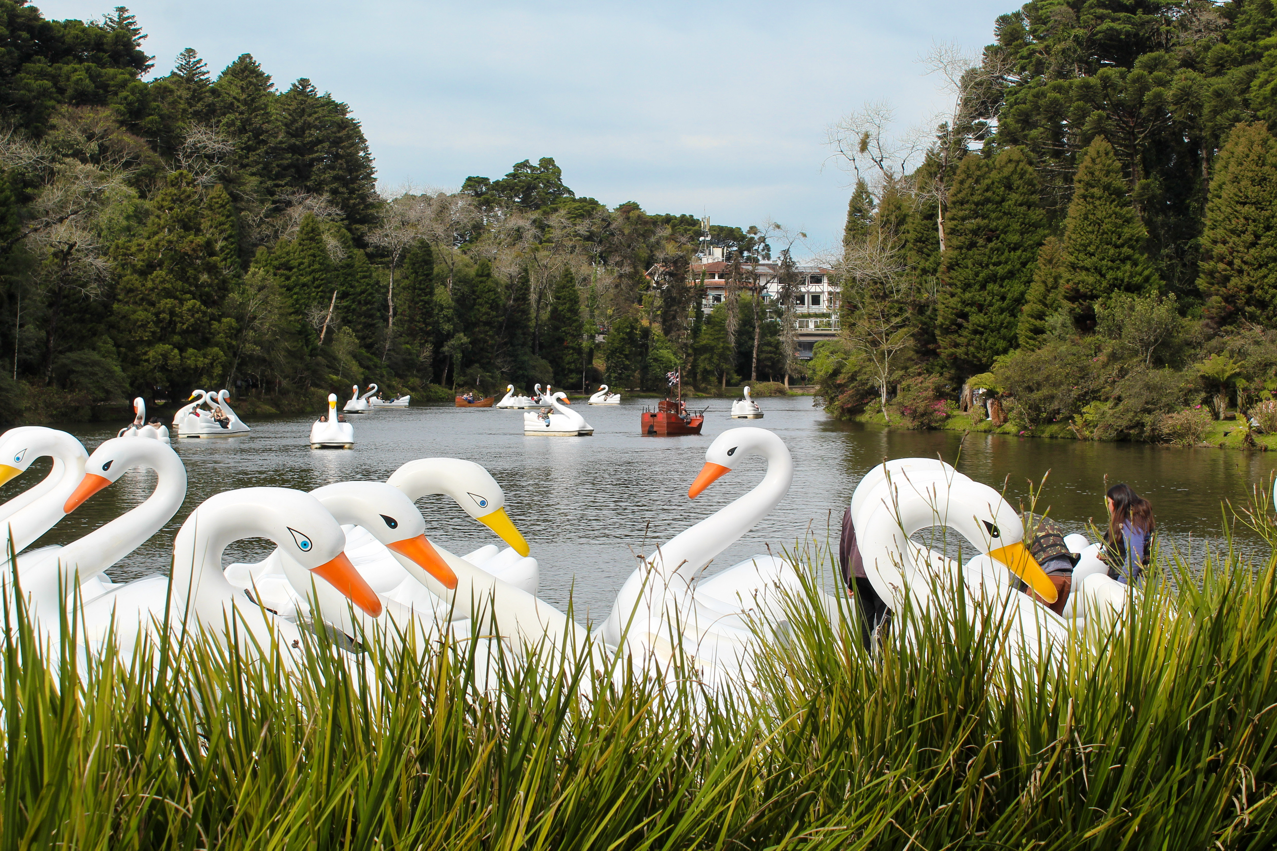 Lago Negro, Gramado · A forest-lined lake in the Serra Gaúcha.
